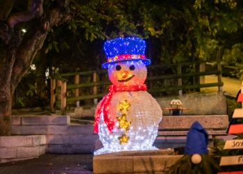 Illuminations Bourgoin-Jallieu-0010.jpg