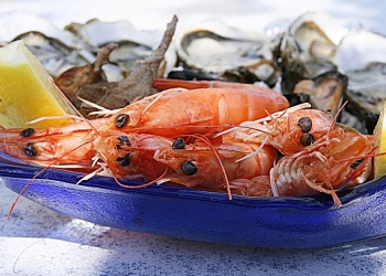 shrimp-1502724_960_720.jpg