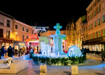 Illuminations Bourgoin-Jallieu-0018.jpg