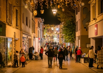 Illuminations Bourgoin-Jallieu-0011.jpg