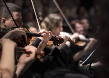 violins-1838390_960_720.jpg