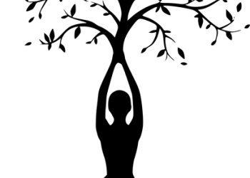 woman-3613840_960_720.png