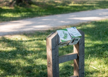 Parc de Fallavier-0063.jpg