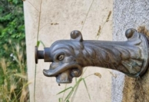 25189053.jpg