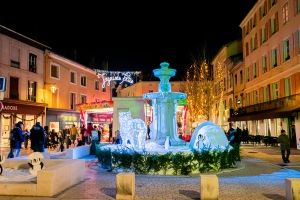 Illuminations Bourgoin-Jallieu-0018.jpg