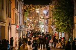 Illuminations Bourgoin-Jallieu-0014.jpg