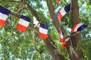 guirlande-drapeaux-france.jpeg