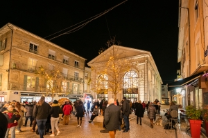 Illuminations Bourgoin-Jallieu-0026.jpg