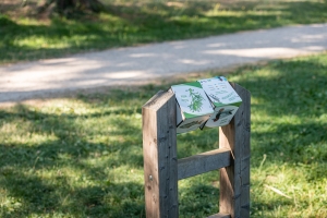 Parc de Fallavier-0063.jpg